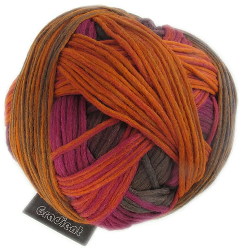 schoppel Die Sonnenbrillengläser