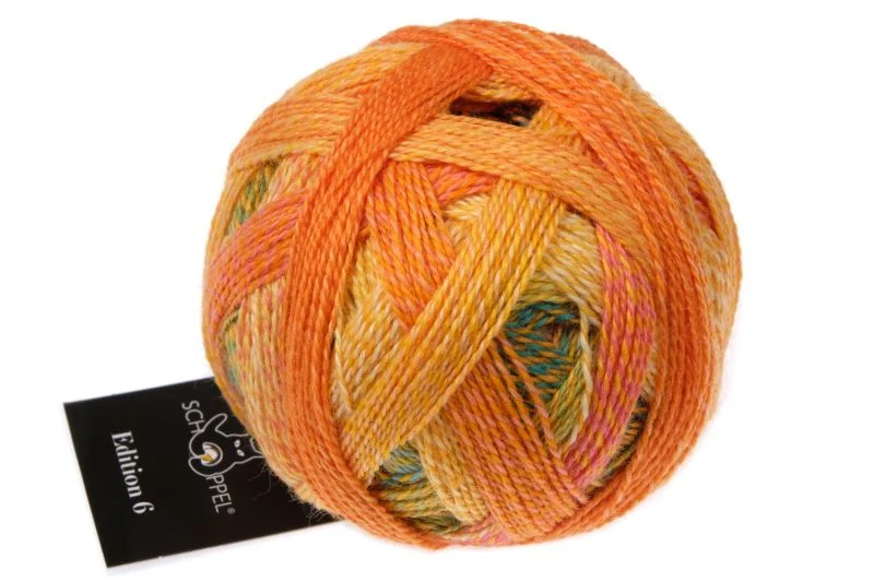schoppel Ausgabe 6.0
