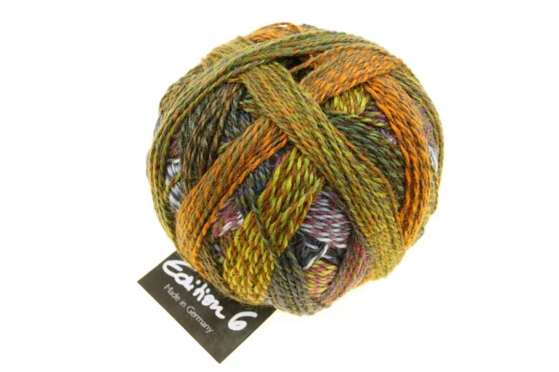schoppel Ausgabe 6.0