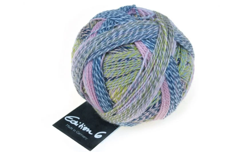 schoppel Ausgabe 6.0