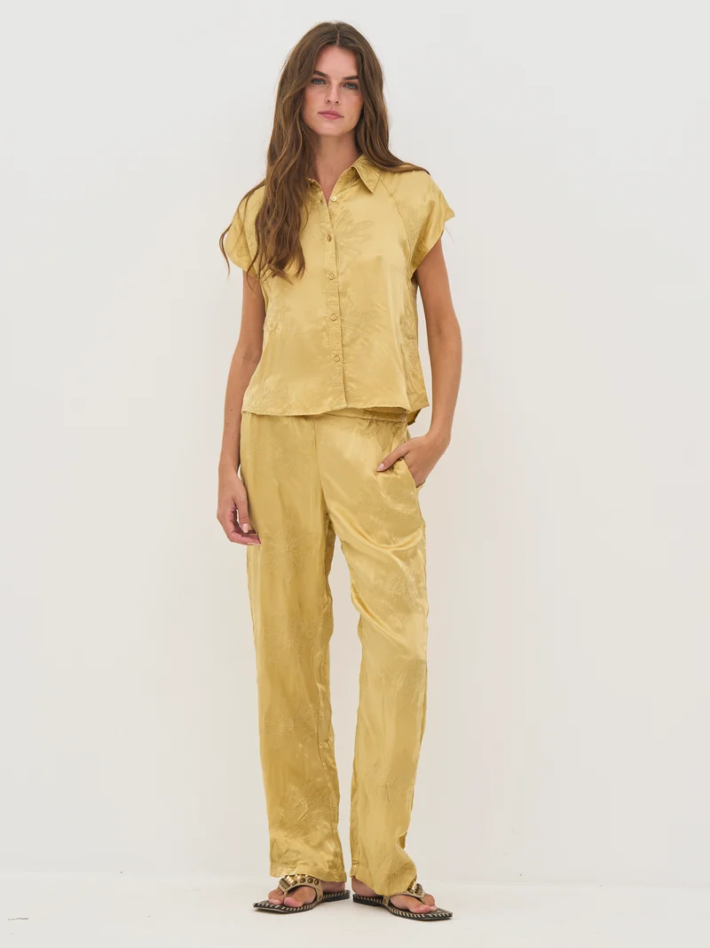 DAWN Hose - Yellow