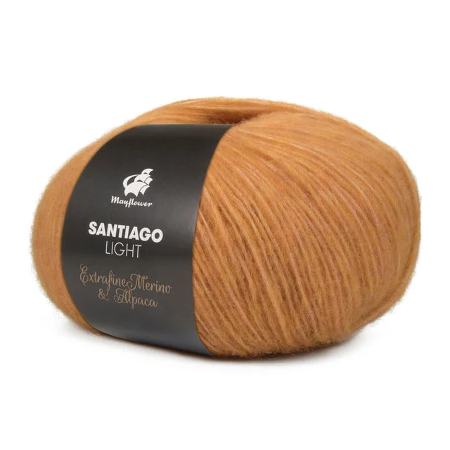 Mayflower Santiago Licht