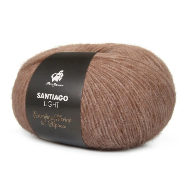 Mayflower Santiago Licht