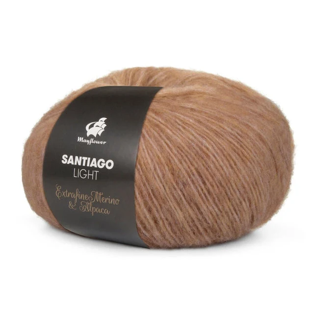 Mayflower Santiago Licht