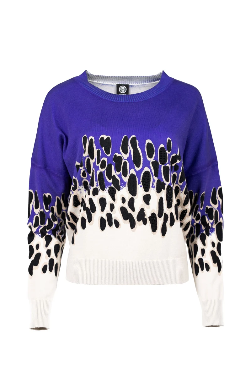 Langarmpullover mit Leo-Dessin