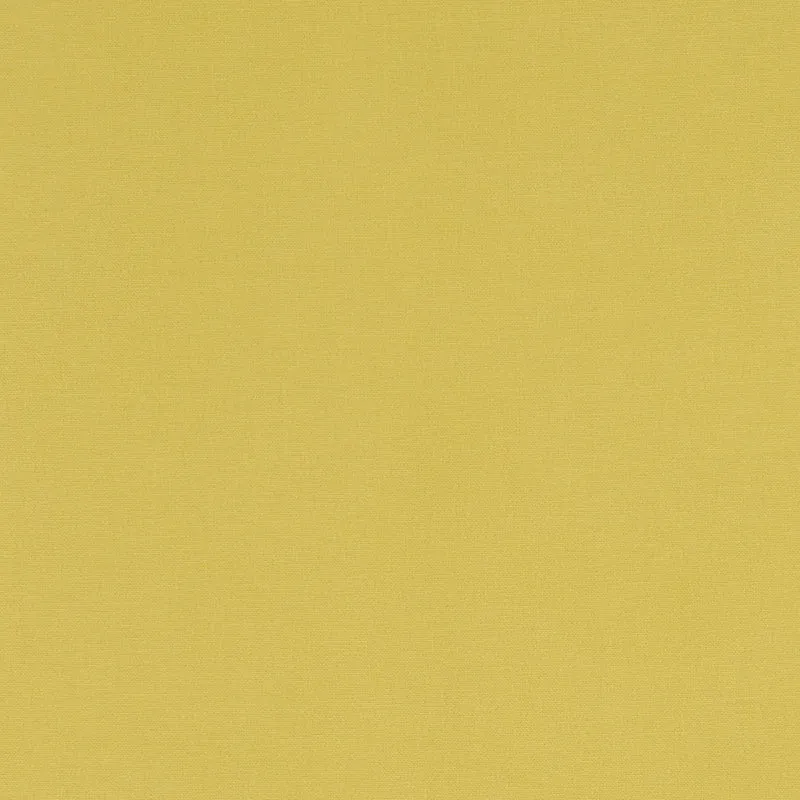 Combed Canvas - celery