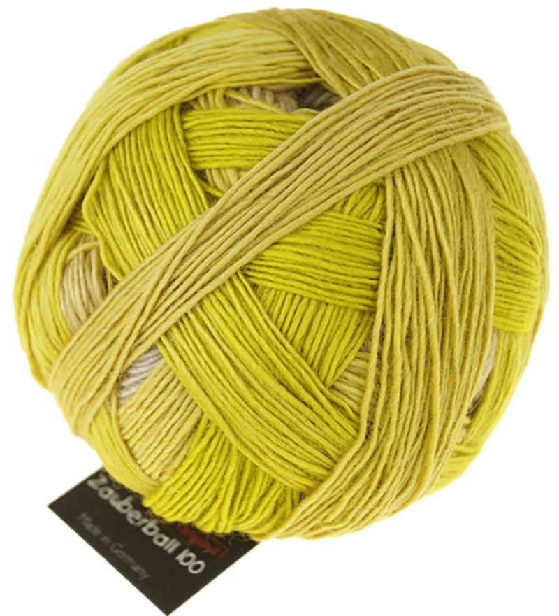 schoppel zauberball 100