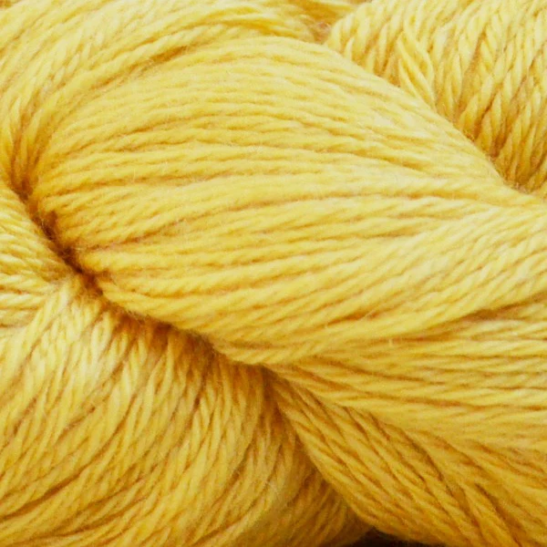 aveyla baby yak