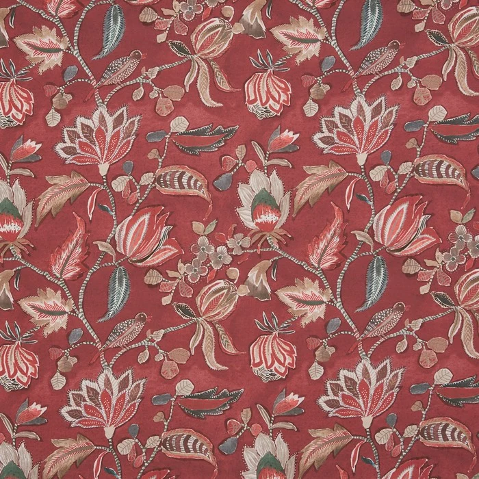 Bio Azalee - cranberry