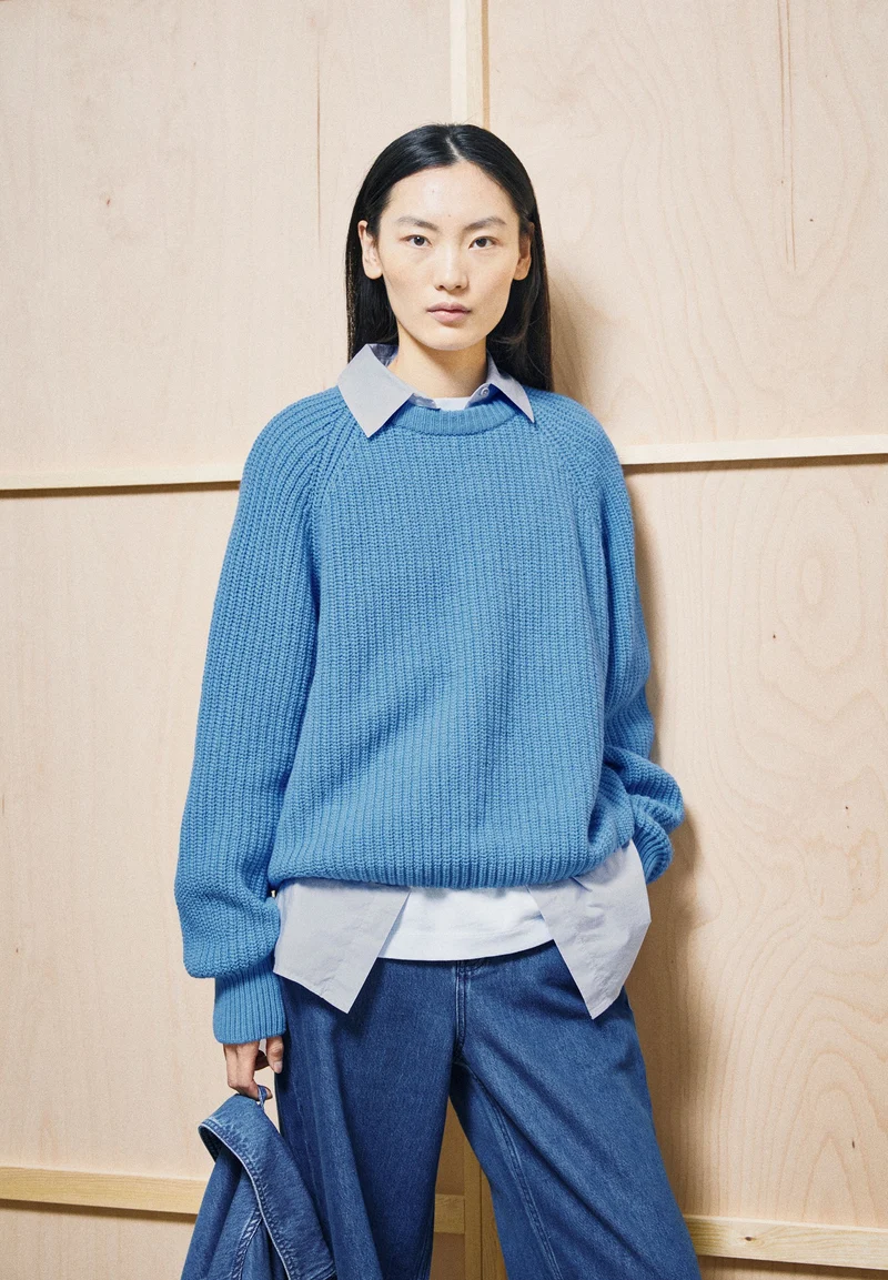 RIPP-STRICKPULLOVER | skylight