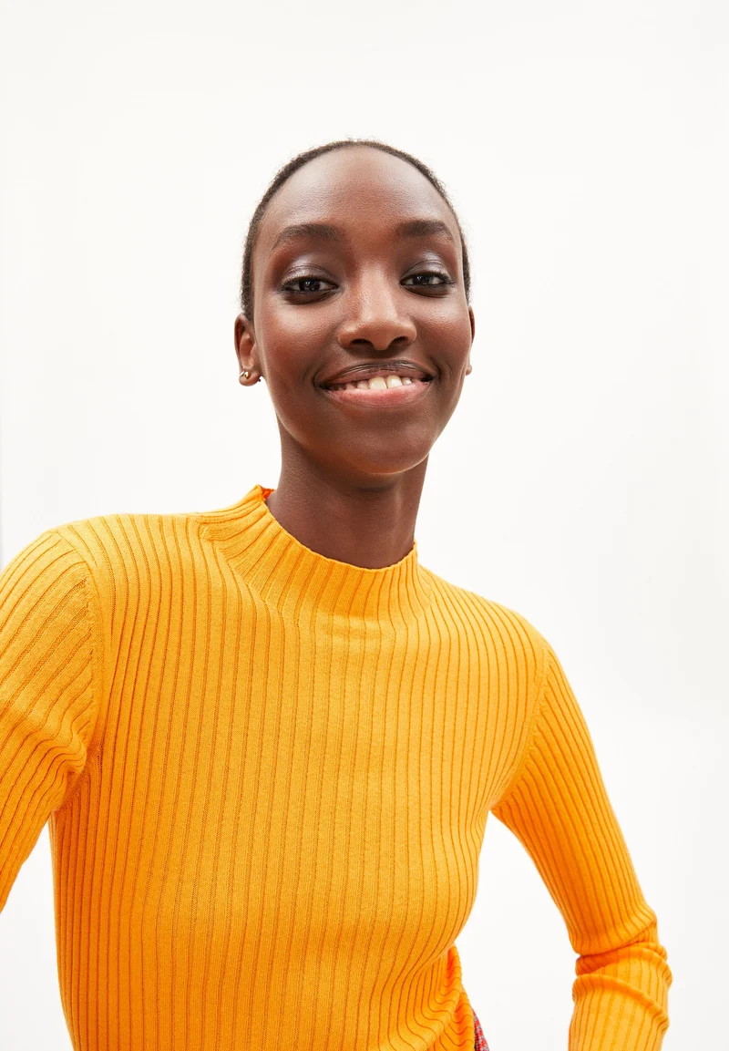ALAANIA STRICKPULLOVER | sunset