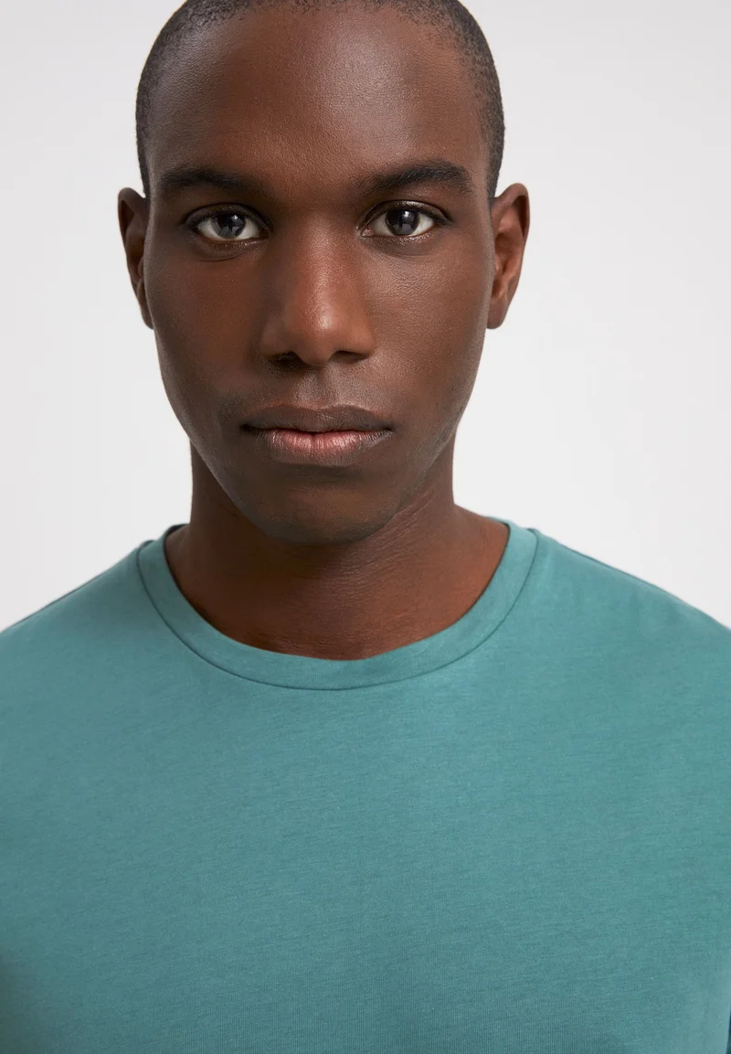 JAAMES T-SHIRT | silver pine