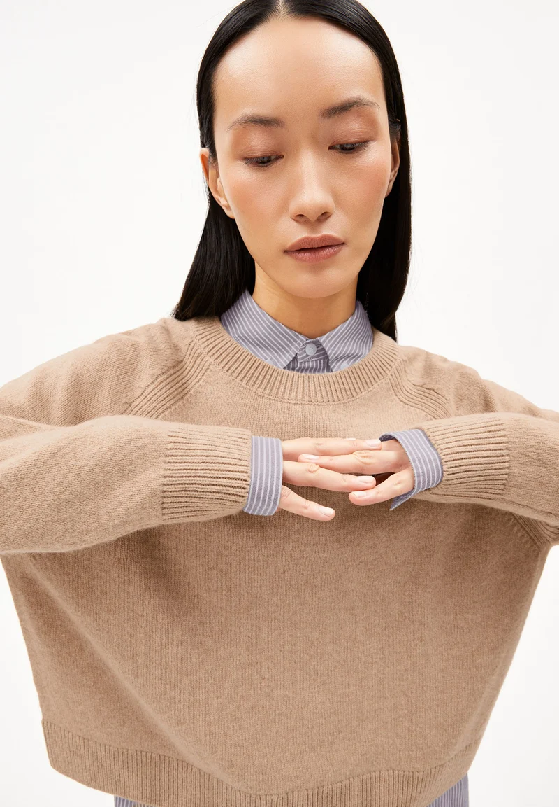 DILIRIAA REGLANA STRICKPULLOVER | cinnamon dust melange