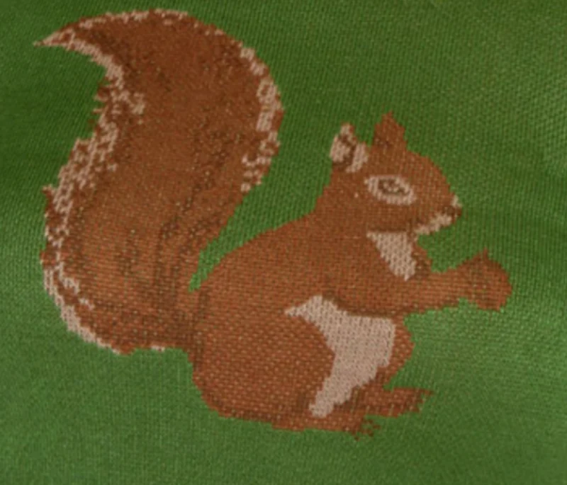 Feinstrick-Pulliover Squirrel mit Eichhörnchenmotiv,Grün