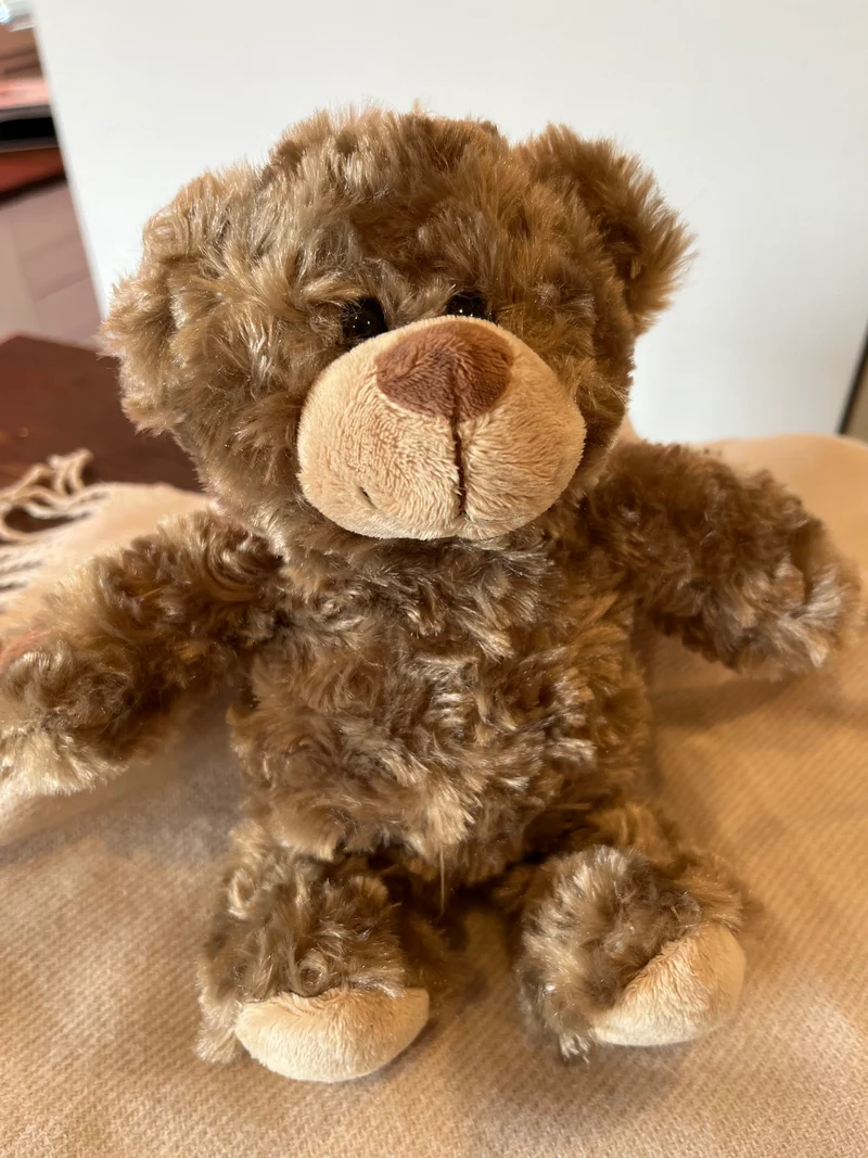 Mini-Feet® Teddybär