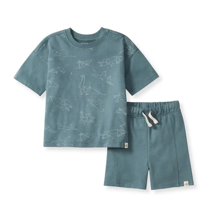 Burts Bees baby boy origami dinos tee short set