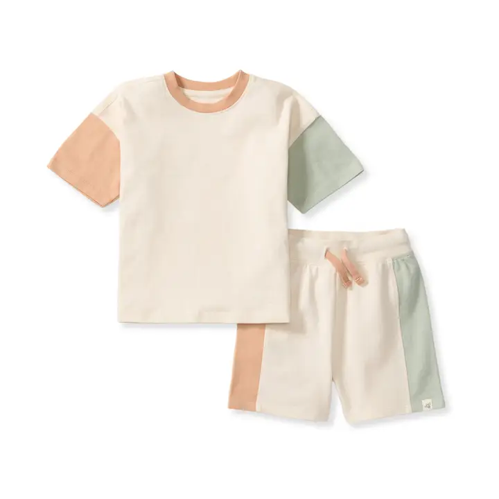Burts Bees baby boy tee short set